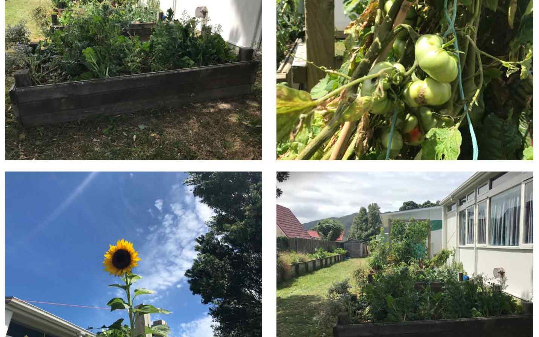 Randwick School – cultivating eco warriors