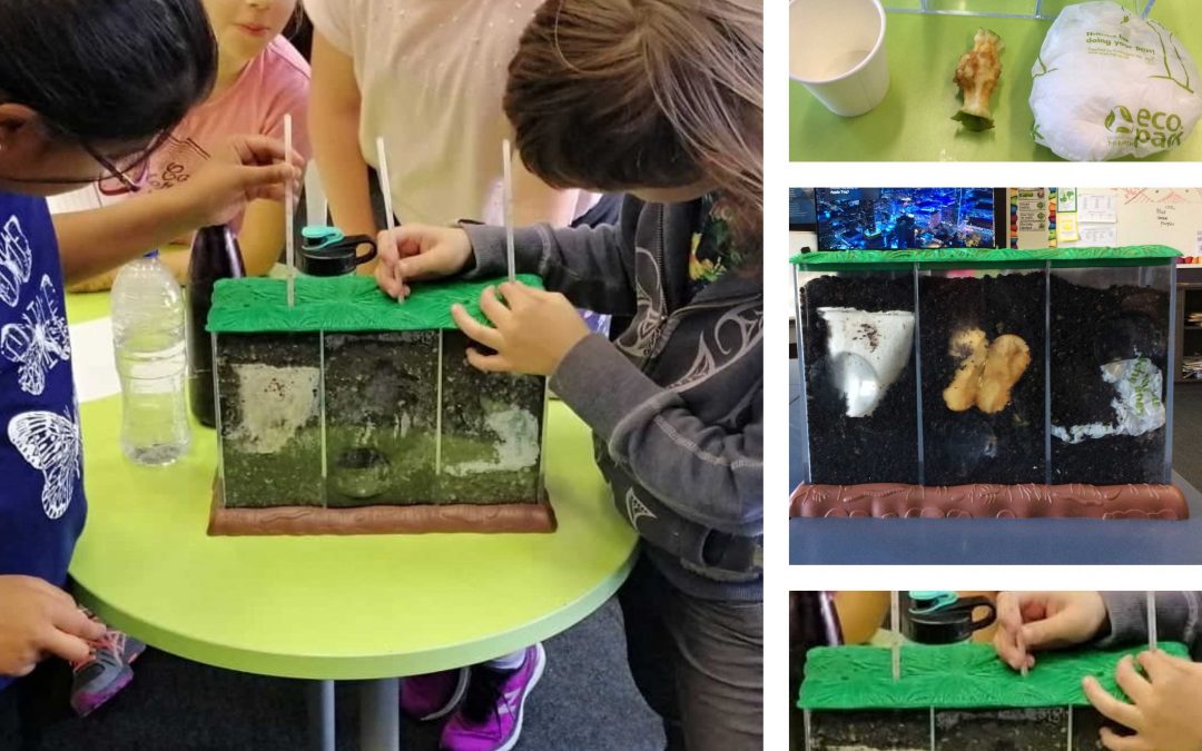 Building the blocks of sustainability