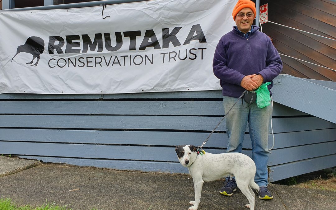 Keeping Kiwi safe in the Remutaka Forest Park