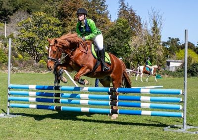 Upper Valley Pony Club Colourful new jumps